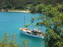 Classic Boat: Gorgeous classic boat in Pipi Bay, BOIs